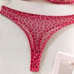 Macro detail van roze mesh slipje met luipaardprint in sexy Franse kanten stijl
