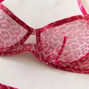 Gedetailleerde macro-weergave van de rode luipaard mesh stof op een sexy Franse bh