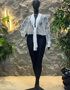 Élégante blouse blanche en dentelle transparente à manches longues et col en V détail