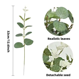 Vue détaillée des feuilles d'eucalyptus réalistes et graine amovible sur tige.
