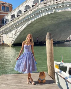 Elegant lavender lace strapless midi dress for summer outdoor lifestyle scenes.