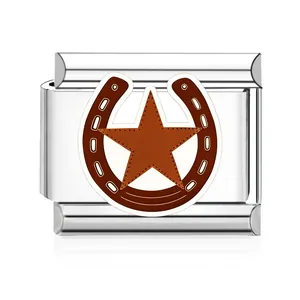 Close-up view of a stainless steel Italian charm link with a brown horseshoe and star.