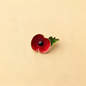 Vue détaillée de l'élégante broche en émail coquelicot rouge aux beaux accents dorés