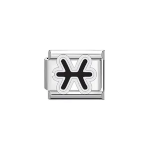 Detailed view of stainless steel Pisces zodiac Italian charm link for DIY bracelet