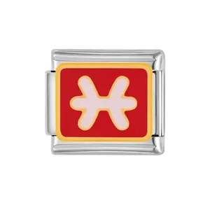 Stainless steel modular Italian charm featuring a pink Pisces zodiac sign on red background