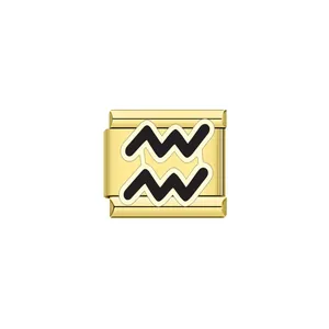 Close-up of gold Italian modular charm link featuring a black Aquarius zodiac symbol design.