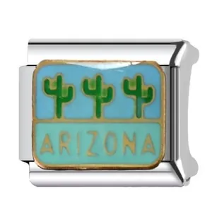 Stainless steel Arizona cactus Italian modular charm link for DIY bracelet jewelry