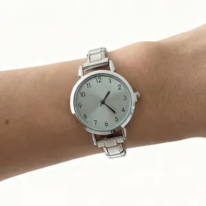Gedetailleerd overzicht van een elegant zilveren roestvrijstalen horloge om de pols