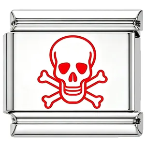 Detail of a polished stainless steel modular charm with a red skull and crossbones design.