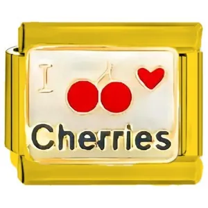 Close-up of gold stainless steel DIY modular charm link with I Cherries design