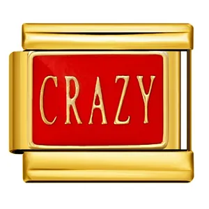 Detail of gold stainless steel modular charm link with red enamel and CRAZY text.