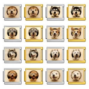 Charm Modulaire Italien Chien de Compagnie Mignon Acier Inoxydable Lien de Bracelet DIY Shiba Inu Corgi Husky Samoyède Accessoires de Bijouterie