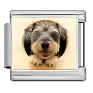 Détail d'un maillon de bracelet italien avec un adorable chien Schnauzer