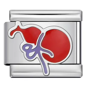 Stainless steel Italian charm link featuring a red Chinese auspicious gourd design