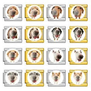 Edelstahl Hund Porträt Italienisches Charm Link Für DIY Armband Gold Silber Galvanisiert Haustier Foto Schmuck Zubehör