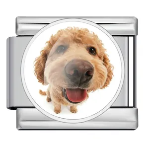 Detailansicht eines italienischen Charm-Glieds aus Edelstahl mit süßem Hundefoto