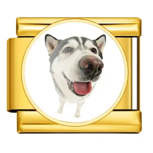 Goldener Edelstahl Armbandlink im italienischen Stil mit rundem Husky-Hundemotiv