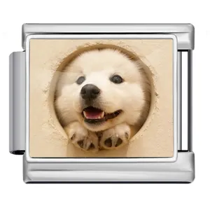 Vue détaillée d'un maillon italien avec le portrait d'un chiot Samoyède mignon