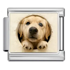 Vue détaillée d'un maillon de charme italien en inox avec motif de chiot labrador