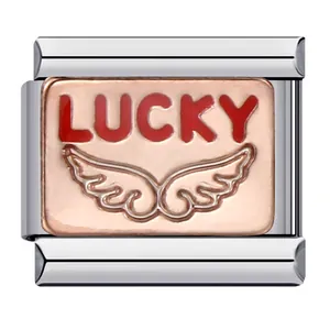 Vista dettagliata del link per bracciale italiano con testo LUCKY rosso e ali incise