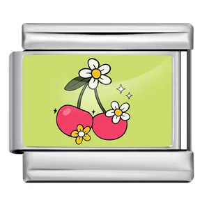 Polished stainless steel Italian charm link featuring cherry and daisy illustrations