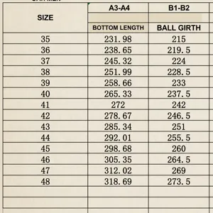 Gedetailleerde maattabel voor schoenen met zoollengte en balomvang afmetingen.