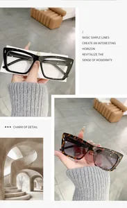 Detailansicht der Cat-Eye-Sonnenbrille mit Metall-Reisnagel-Akzenten und Schildpattrahmen