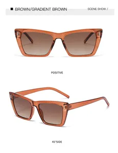 Braune Cat-Eye-Sonnenbrille mit Verlaufsgläsern und Reisnagel-Akzenten in zwei Winkeln.