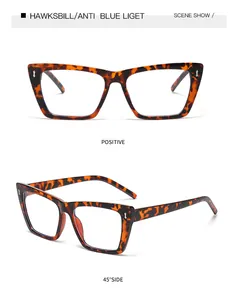 Detaillierte Vorder- und Seitenansicht einer Schildpatt-Brille mit silbernen Nieten