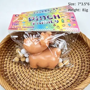 Detailed view of a brown animal squishy toy in colorful Pinch Family packaging.