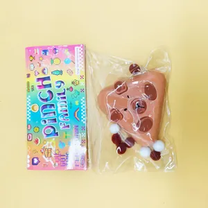 Slow rebound brown bear squishy stress relief toy in colorful Pinch Family packaging bag