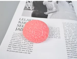 Detailansicht eines rosa hirnförmigen Anti-Stress-Spielzeugs auf einem Buch liegend
