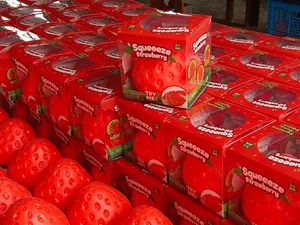 Close-up of packaged giant squeeze strawberry stress relief toys in red boxes