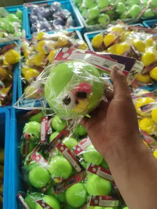 Détail d'un jouet squishy vert en forme de chien dans son emballage de vente