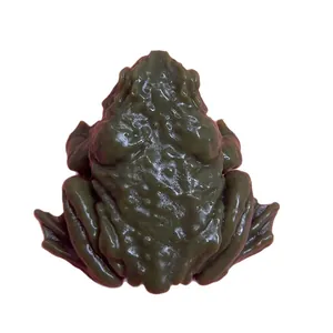 Giocattolo antistress a forma di rospo verde scuro realistico