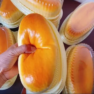 Primer plano que muestra la textura suave de rebote lento de un squishy pan tostado