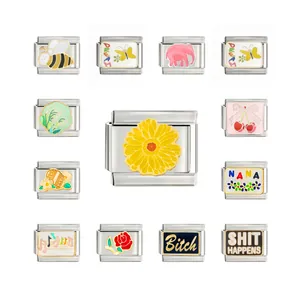 Collection of various enameled Italian modular charm bracelet links in durable stainless steel
