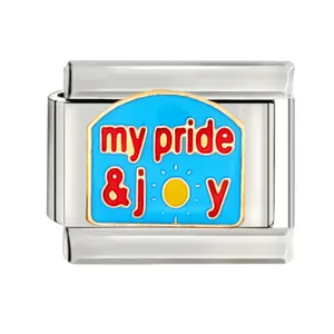 Macro shot of stainless steel Italian charm link with 'my pride & joy' enamel design