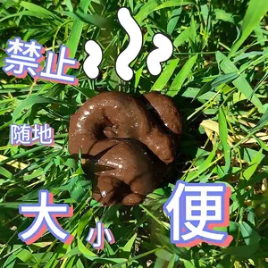 Realistic brown prank poop toy on green grass for stress relief.