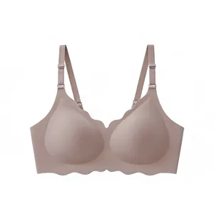 Comfortable seamless plus size bra featuring scalloped edges and wire-free design