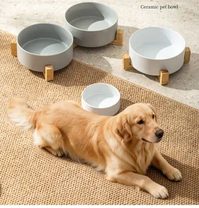 Golden Retriever liegt neben grauen und weißen Keramik-Fressnäpfen auf einem Teppich