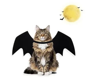 Flauschige Katze mit schwarzen Fledermausflügeln aus Filz vor weißem Hintergrund