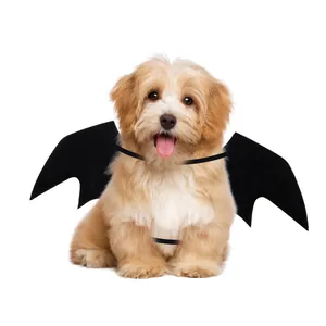 Süßer Hund mit schwarzen Halloween-Fledermausflügeln auf sauberem weißem Hintergrund