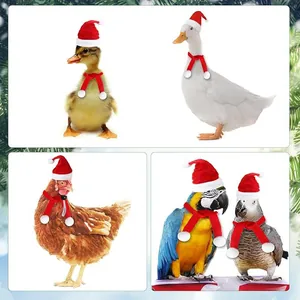 Mini Christmas hat and scarf set for small animals like ducks, chickens, and parrots.