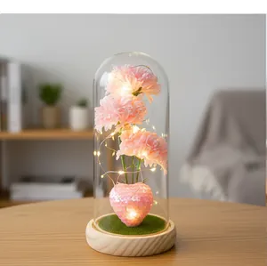 Detailansicht von rosa Seifen-Nelken mit warmen LED-Lichtern in einer klaren Glaskuppel.