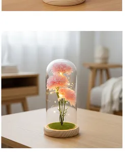 Nahaufnahme von rosa Nelken-Seifenblumen in einer Glaskuppel mit LED-Lichtern