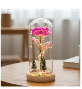 Primer plano de una rosa rosa brillante bajo una cúpula de cristal con luces LED