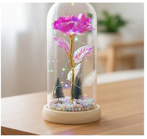 Detalle de una rosa galaxia artificial en una cúpula de cristal con luces LED