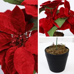 Vue détaillée de poinsettia artificiel en velours rouge avec paillettes et pot noir