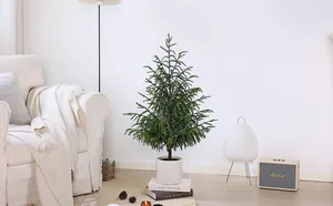 Albero di Natale artificiale Norfolk Pine da 90 cm in vaso bianco per un arredamento accogliente